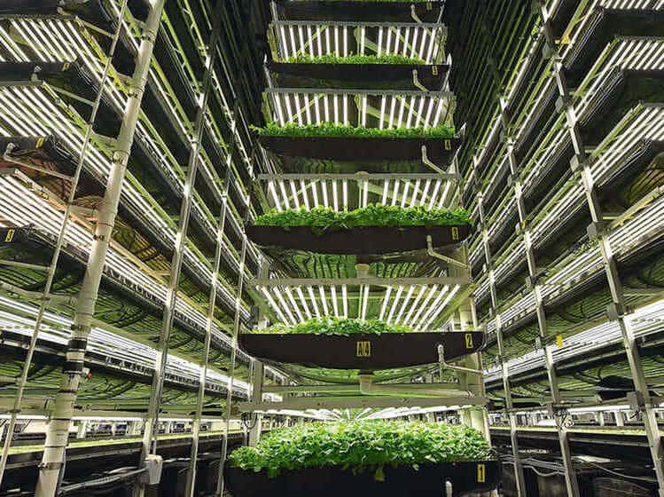 Urban Vertical Farms(1)