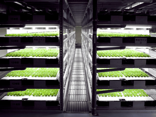 Vertical farm system